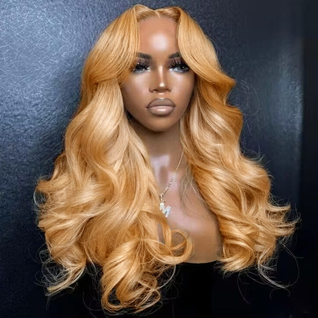 Highlight Ombre Lace Front Wavy Lace Wigs